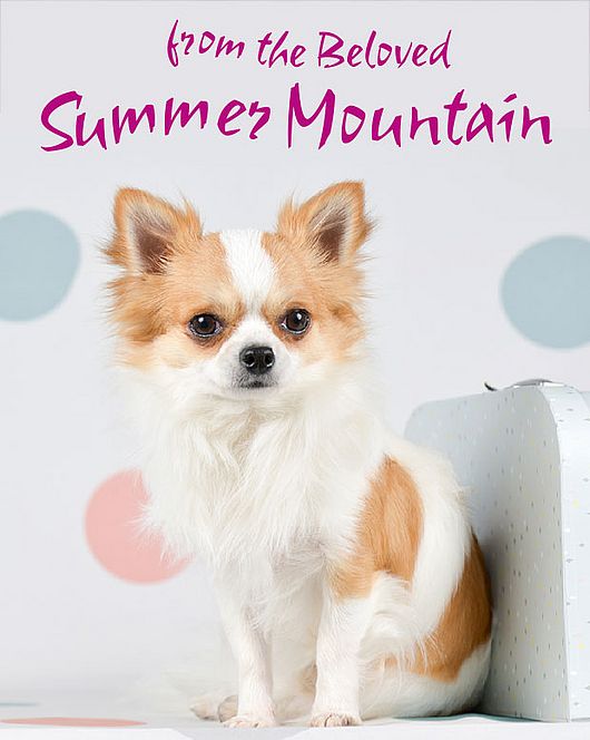 [Translate to Deutsch:] from the beloved Summer Mountain